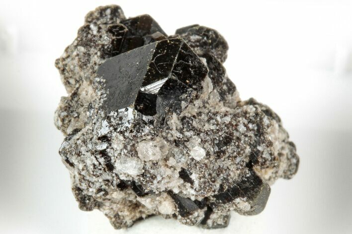 Lustrous Chocolate Fluor-Buergerite Crystals - Mexico #317400